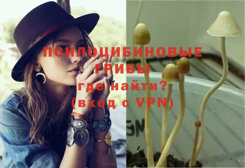 Псилоцибиновые грибы Psilocybine cubensis  omg ССЫЛКА  Полярный 